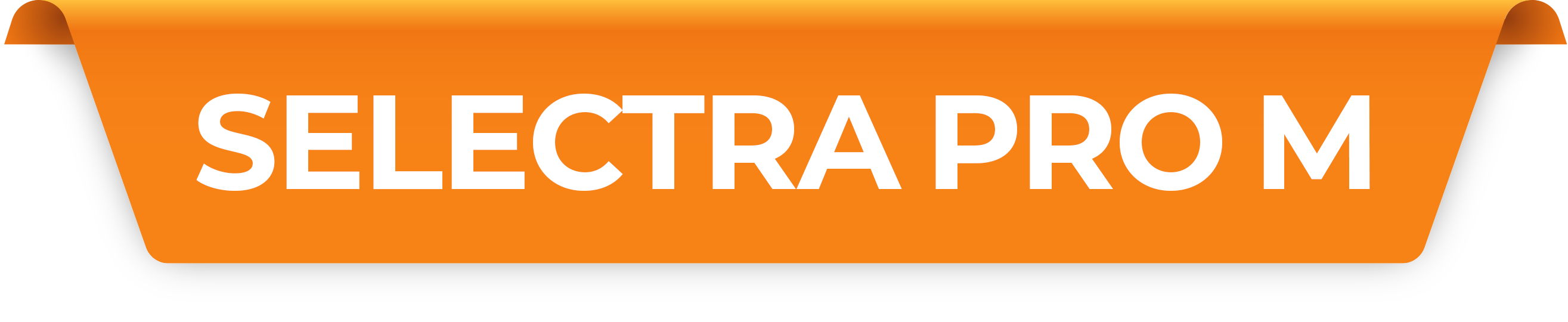 Chapter-ProM Chapter-ProM